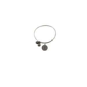 Alex and Ani Silver Charm Bracelet